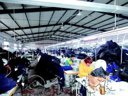 一個(gè)濱州人的服裝企業(yè)夢