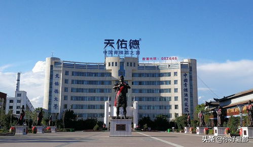 青海唯一 質(zhì)量獎(jiǎng),這家企業(yè)怎么拿到的