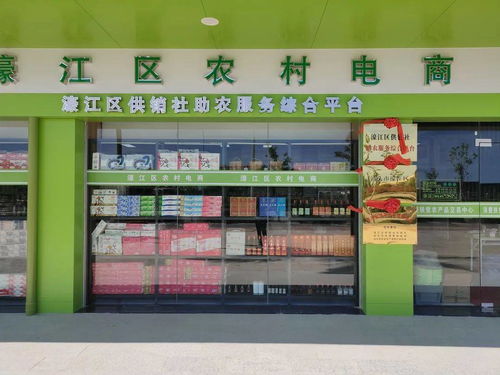 電商消費如何扶貧 珠海大學生團隊暑期下鄉調研助力